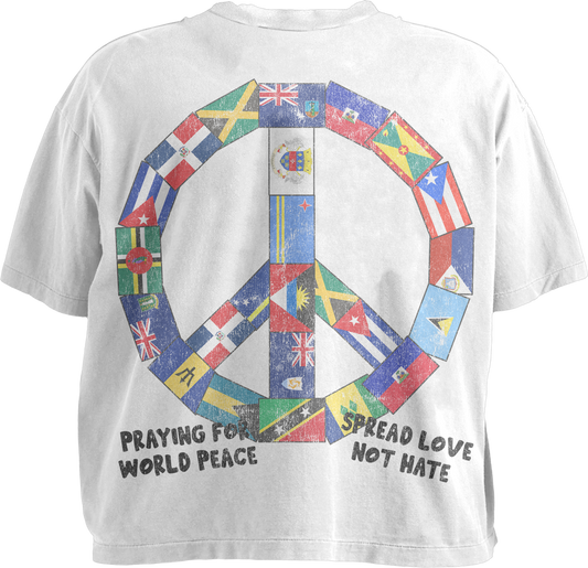 world peace shirt