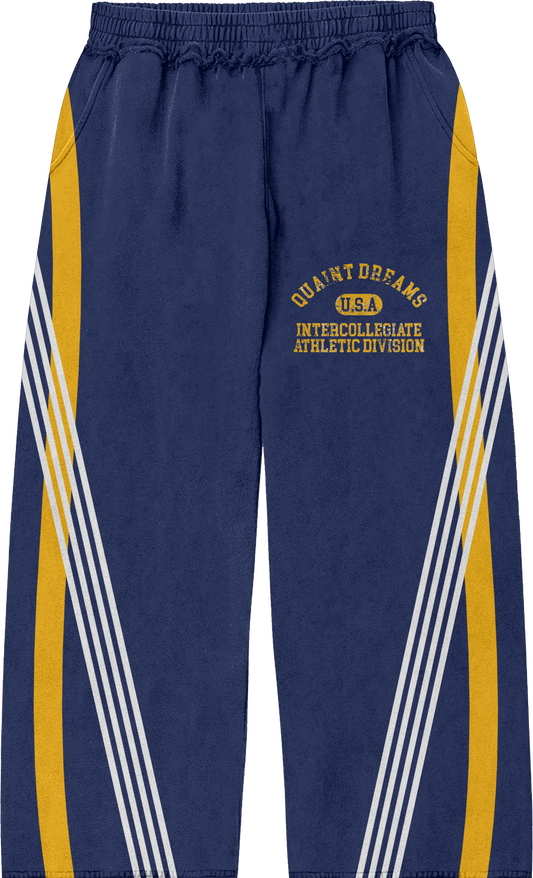 michigan quaint sweatpants