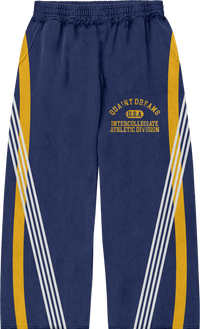 michigan quaint sweatpants