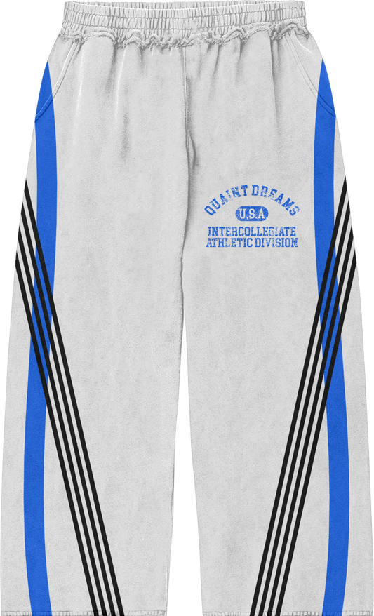 blue jawns sweatpants